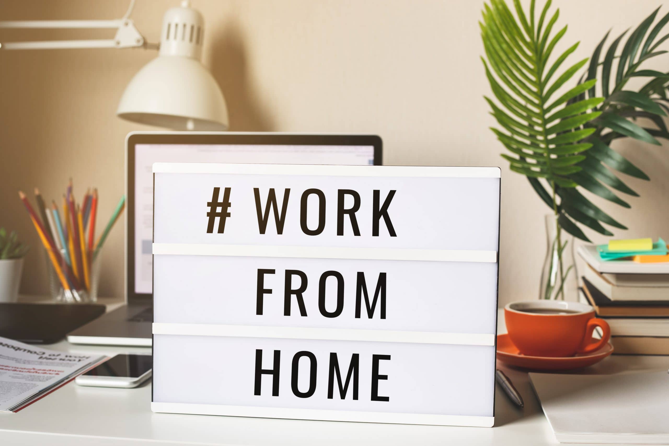 homeworking guidelines for employees