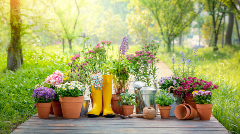 Do I need planning permission to make changes to my garden? - Wollens Solicitors Devon