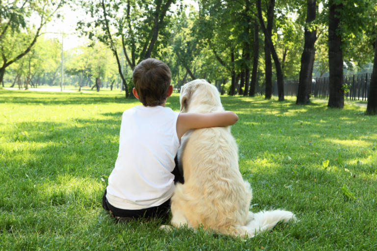 Providing for a pet in your will - Wollens Solicitors Devon