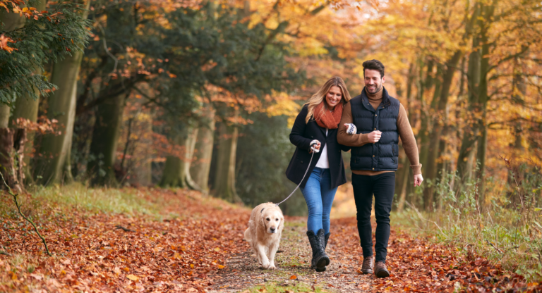 Does common law marriage exist in the UK? What you need to know. - Wollens Solicitors Devon