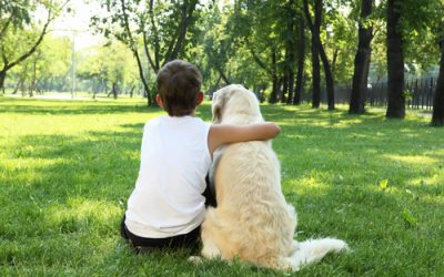 National Pet Month – Have you got a pet nup in place?