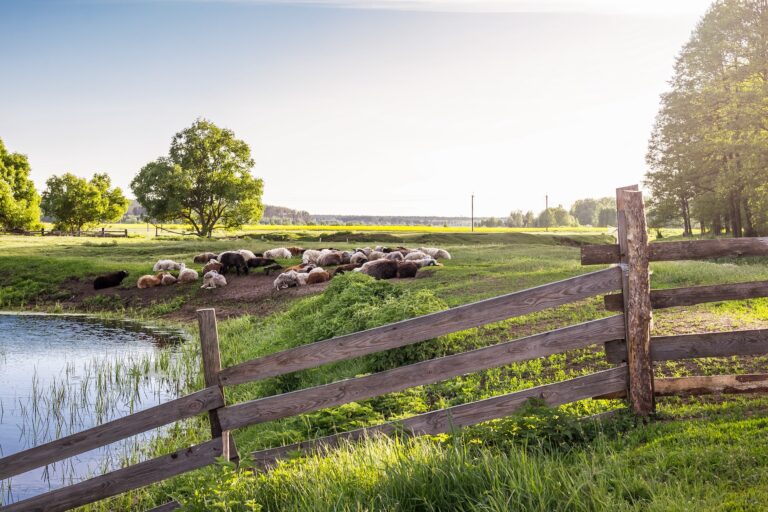 Plots, Parcels and Paddocks - Wollens Solicitors Devon