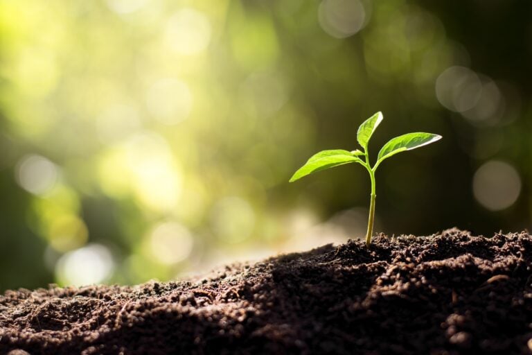 Securing Your Legacy: How the Wealth Protection Team Can Help You Navigate Budget 2024’s Business Property Relief Changes - Wollens Solicitors Devon