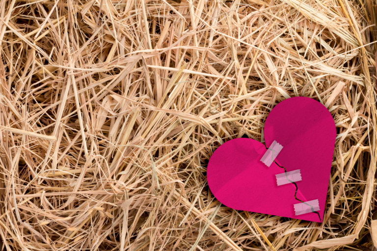 Understanding Farming and Divorce - Wollens Solicitors Devon