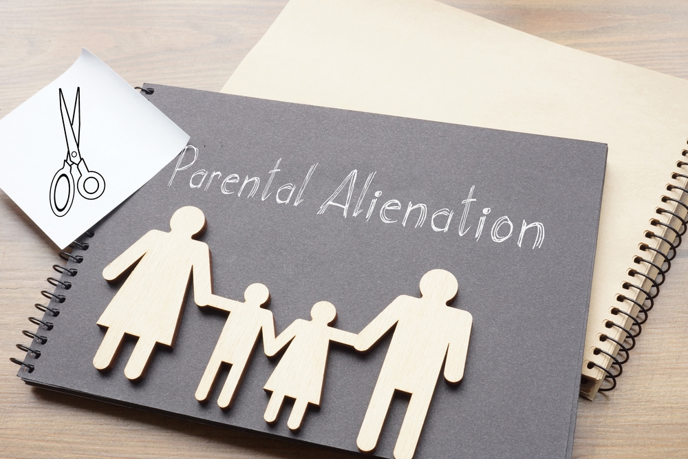 Parental Alienation and the Family Court