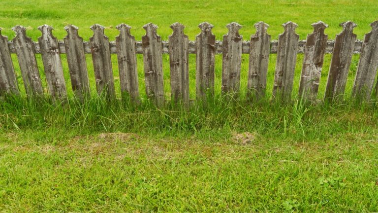 Purchasing a rural property? - Wollens Solicitors Devon