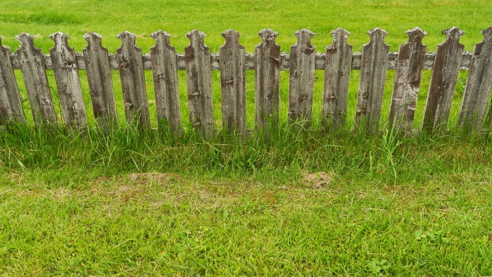 Purchasing a rural property? - Wollens Solicitors Devon