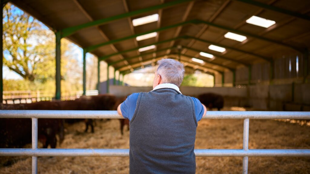 Class Q permitted development: What’s changed in 2025, and how Wollens can help - Wollens Solicitors Devon