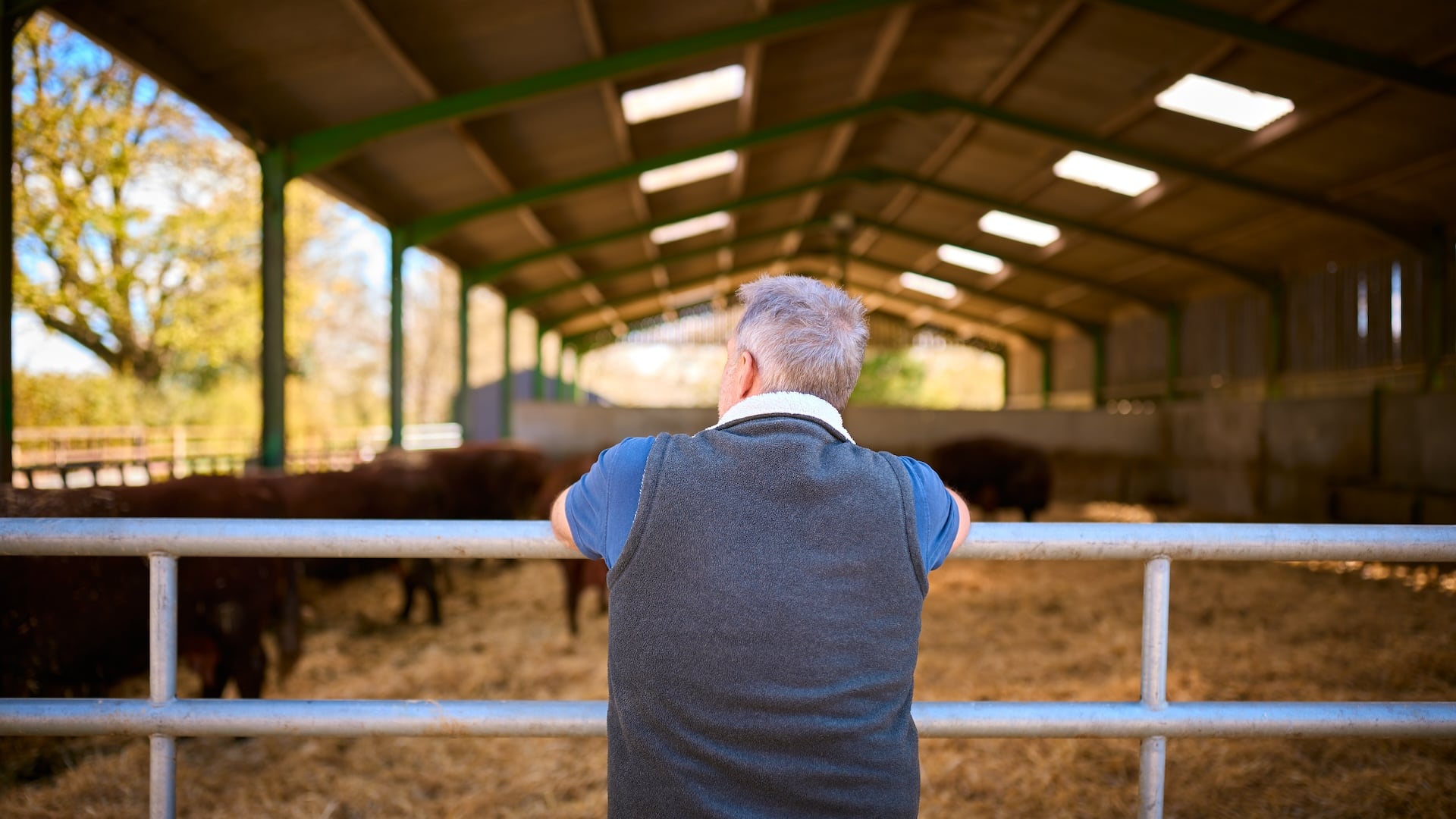 Class Q permitted development: What’s changed in 2025, and how Wollens can help - Wollens Solicitors Devon