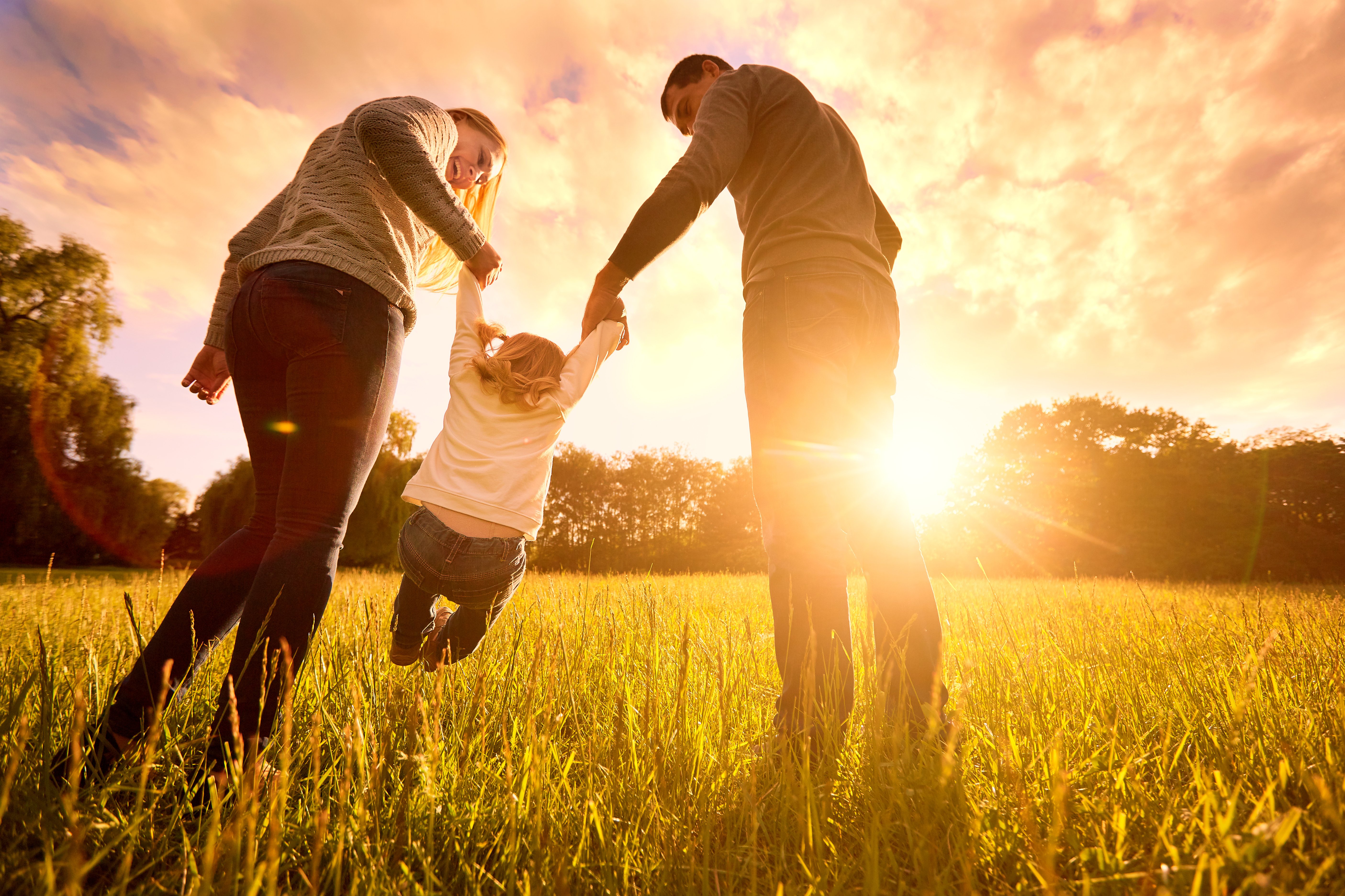 Adoption in Family Care Proceedings: Legal Framework and Process - Wollens Solicitors Devon