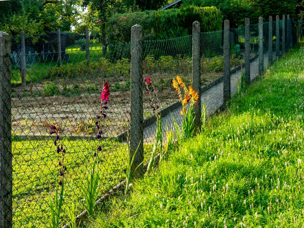 Buying neighbouring land - Wollens Solicitors Devon