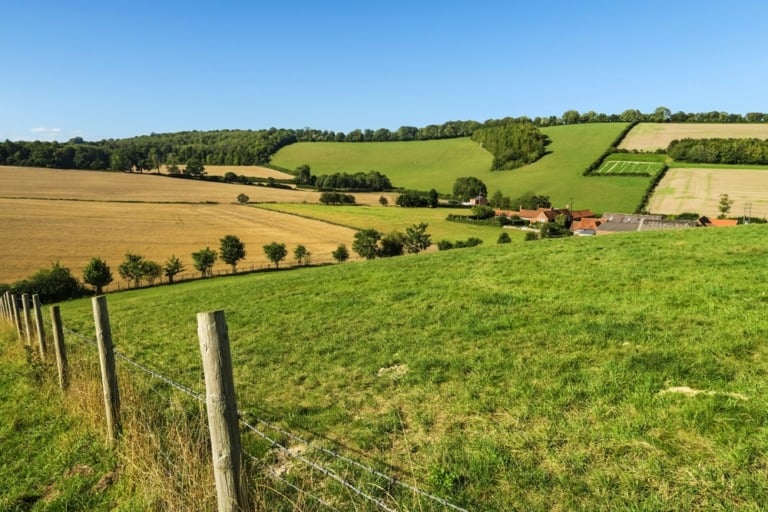Buying a plot, parcel or paddock - Wollens Solicitors Devon